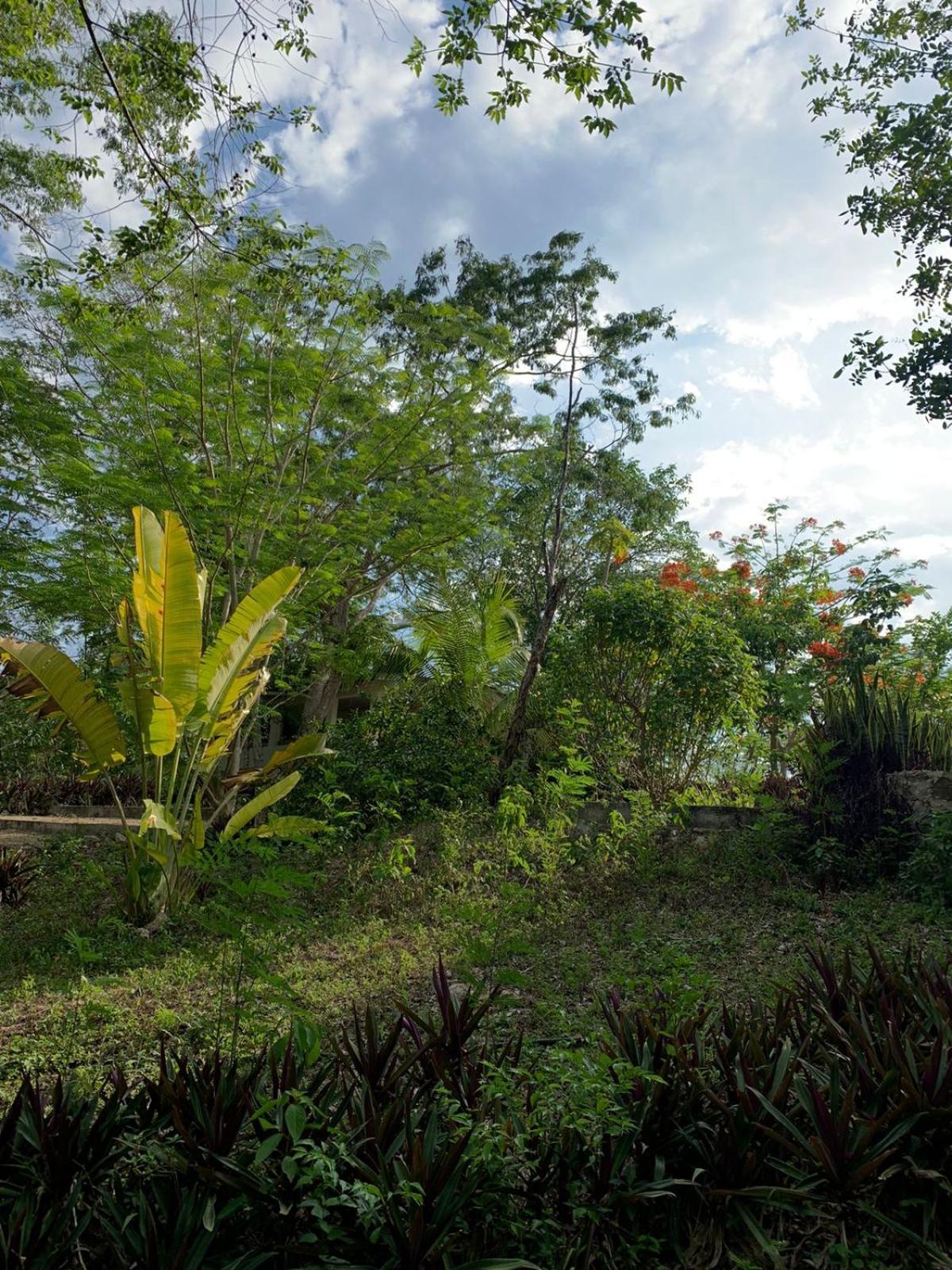 El Encanto - Hotel Boutique Chichen Itza Ngoại thất bức ảnh