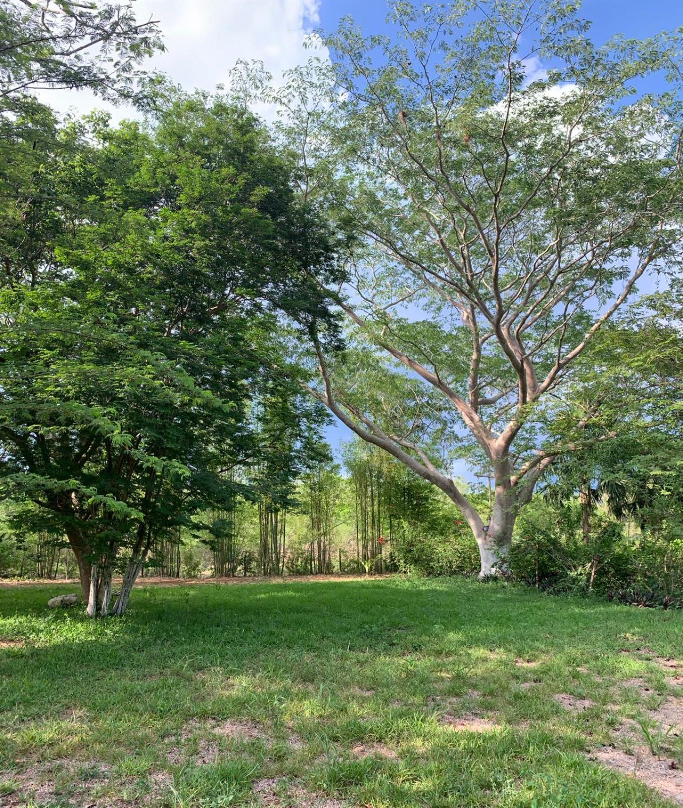 El Encanto - Hotel Boutique Chichen Itza Ngoại thất bức ảnh