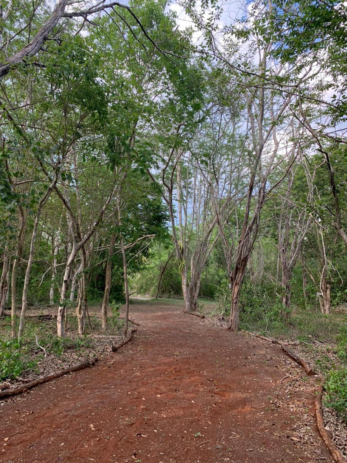 El Encanto - Hotel Boutique Chichen Itza Ngoại thất bức ảnh